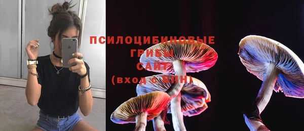 бошки Кодинск