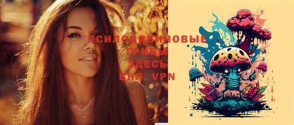 бошки Кодинск