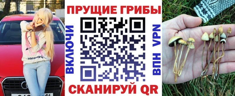 Псилоцибиновые грибы прущие грибы  Купить  Гвардейск 